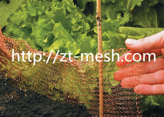 Ocynkowana siatka ze spawaną z płaską i falistą raną spiralną lub sprężonego rzemiosła